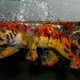 Illustration for article titled Shooting Challenge Gallery: Plunge II